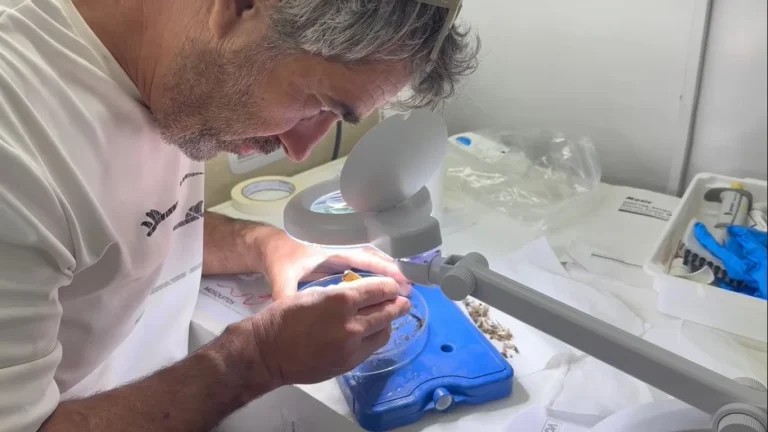 Profissional de saude em laboratorio de analises com agentes biologicos e direito a insalubridade