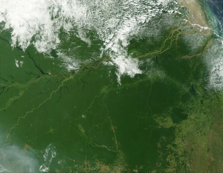 Programa bolsa verde como funciona: Comunidade ribeirinha em área de conservação ambiental na floresta amazônica